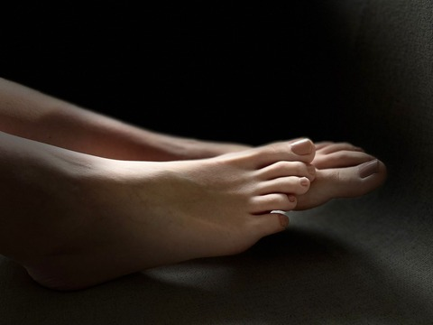 Header of nigrum_unicornis