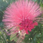 Onlyfans leaks norelkys 

 profile picture