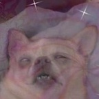 Onlyfans leak notsobiddytiddy 

 profile picture