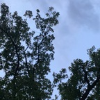 nuuuute_sex OnlyFans Leaks 

 profile picture