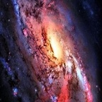 Onlyfans leak offer 

 profile picture