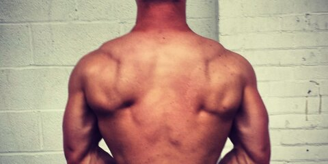 Header of official_owend