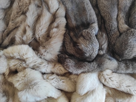 Header of olivia_fur