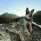 olnyfans OnlyFans Leaks 

 profile picture