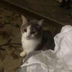 Onlyfans leak onlypurrs 

 profile picture