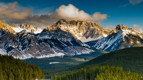 Header of onlyviolet