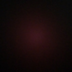 onlywhalesbetting OnlyFans Leaks 

 profile picture