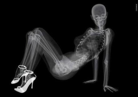 Header of pain.dealer1