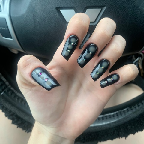 Header of paoniverso