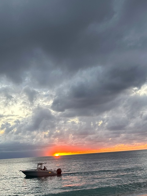 Header of papishampoooooo