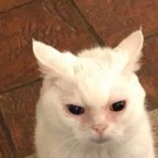 pcpixiee (❤️‍🔥🌶) free OnlyFans content 

 profile picture