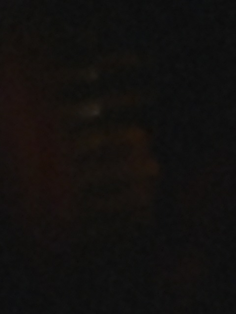 Header of peach-princess