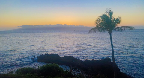 Header of peach.scones