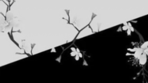 Header of peachhcityy