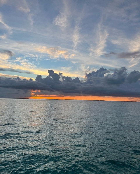 Header of peachyangelbabbee