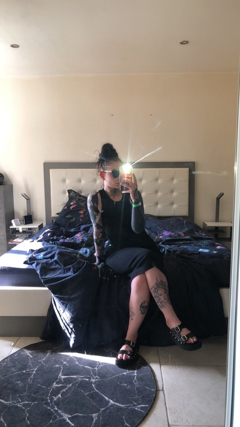 Header of petuniaasnoirs