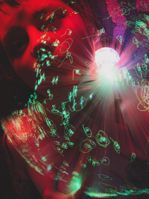 Header of phasmatodea