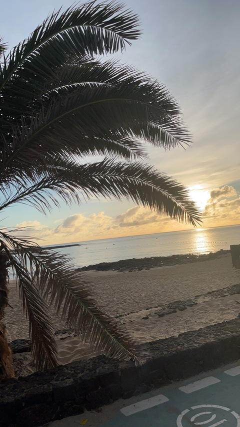 Header of phoenix_queen.x