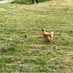 Download pierce OnlyFans leaks for free 

 profile picture