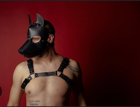 Header of pietro.dangelo