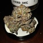 Download pimpinaintez32 OnlyFans leaks for free 

 profile picture