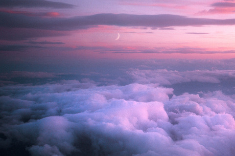 Header of pinkybooty