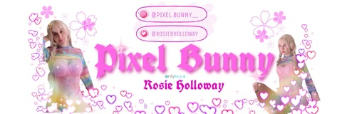 Header of pixel.bunnyy