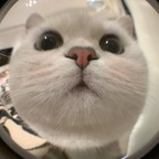 Download platooam OnlyFans videos and photos for free 

 profile picture