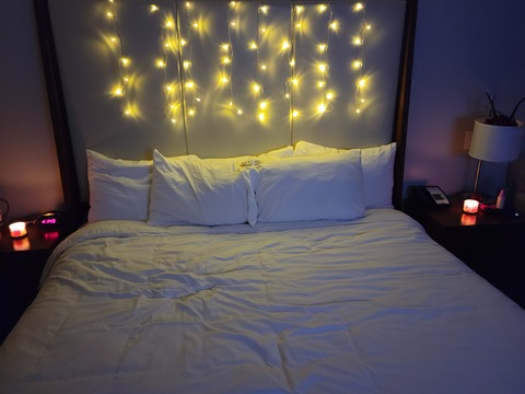 Header of playful-kitten