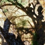 Polychromatic polychromatic Leak OnlyFans 

 profile picture