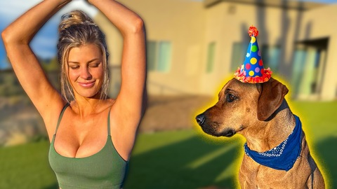 Header of powdermouse