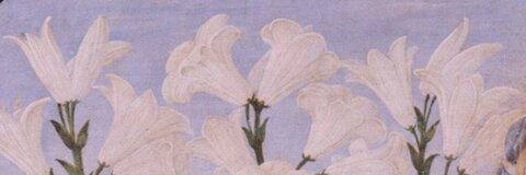 Header of prettyangel23