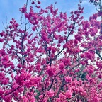 Free access to (princessmiats) Leaked OnlyFans 

 profile picture