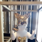 Free access to (proud) Leak OnlyFans 

 profile picture