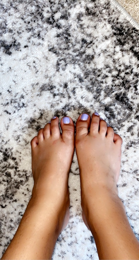 Header of punjabiprincesss