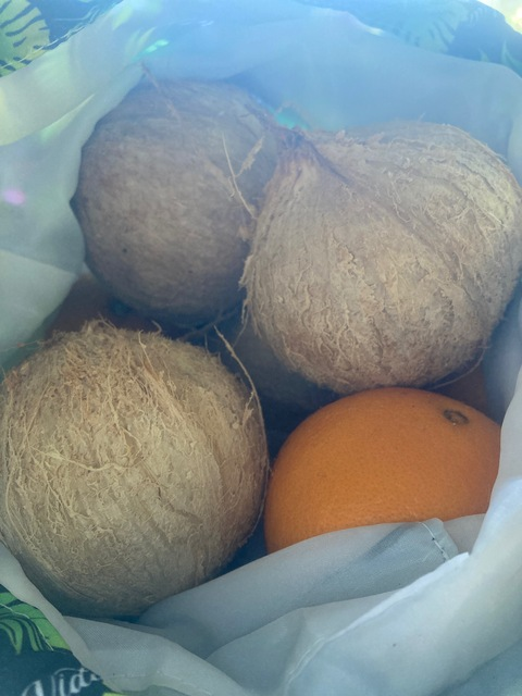 Header of quietarcadia