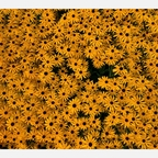 MininaRain⛈️ rainminina Leaked OnlyFans 

 profile picture