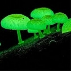 randumbnumb OnlyFans Leaked 

 profile picture