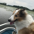 ratwhore4 OnlyFans Leak 

 profile picture