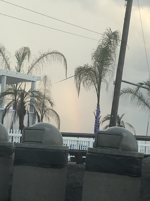 Header of redneckbeauty23