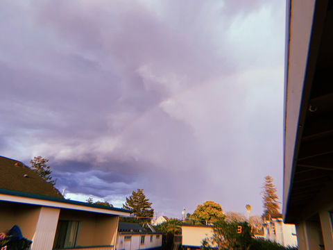 Header of robin-would