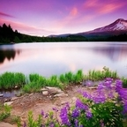 Onlyfans leak rondi 

 profile picture