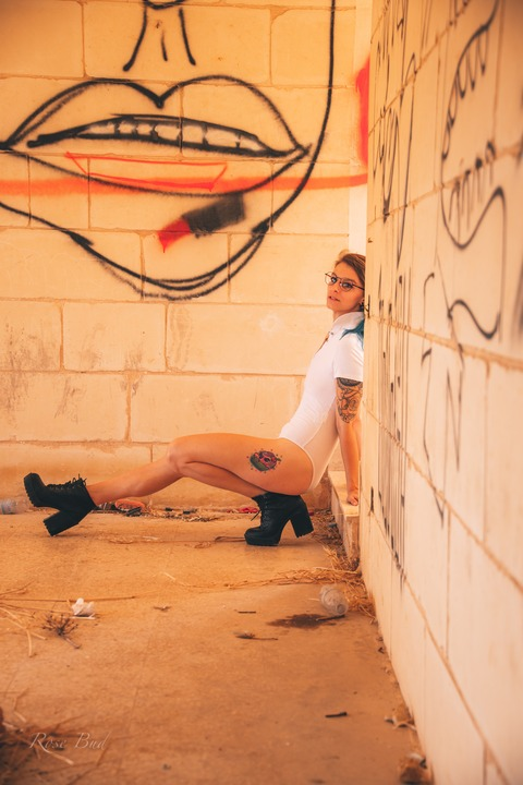 Header of rosebudmodel