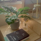 Onlyfans leaked rosegoldxn 

 profile picture