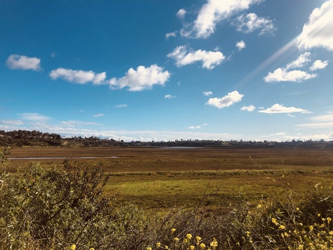 Header of sabrina_lynn