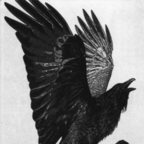 Download sadlovestory OnlyFans videos and photos for free 

 profile picture