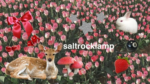 Header of saltrocklamp