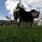 samantina (Sammy💞) OnlyFans Leaks 

 profile picture