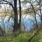 samirae_22 OnlyFans Leaks 

 profile picture