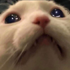 Onlyfans leak samsalemm 

 profile picture